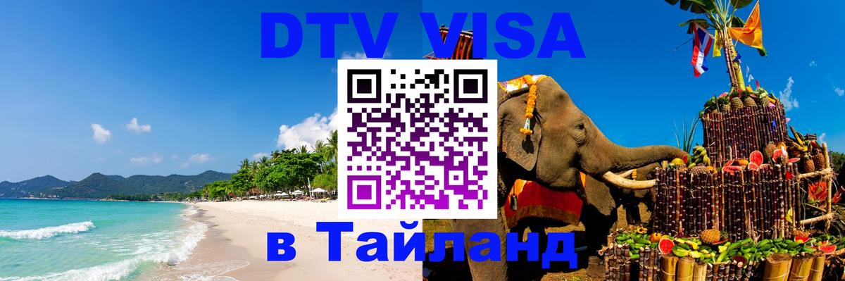 Оформление DTV визы под ключ: стоимость и тарифы, только загранпаспорт - 